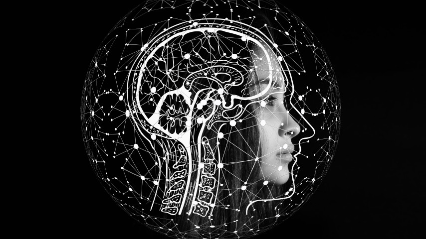 Künstliche Intelligenz - zweites Gehirn